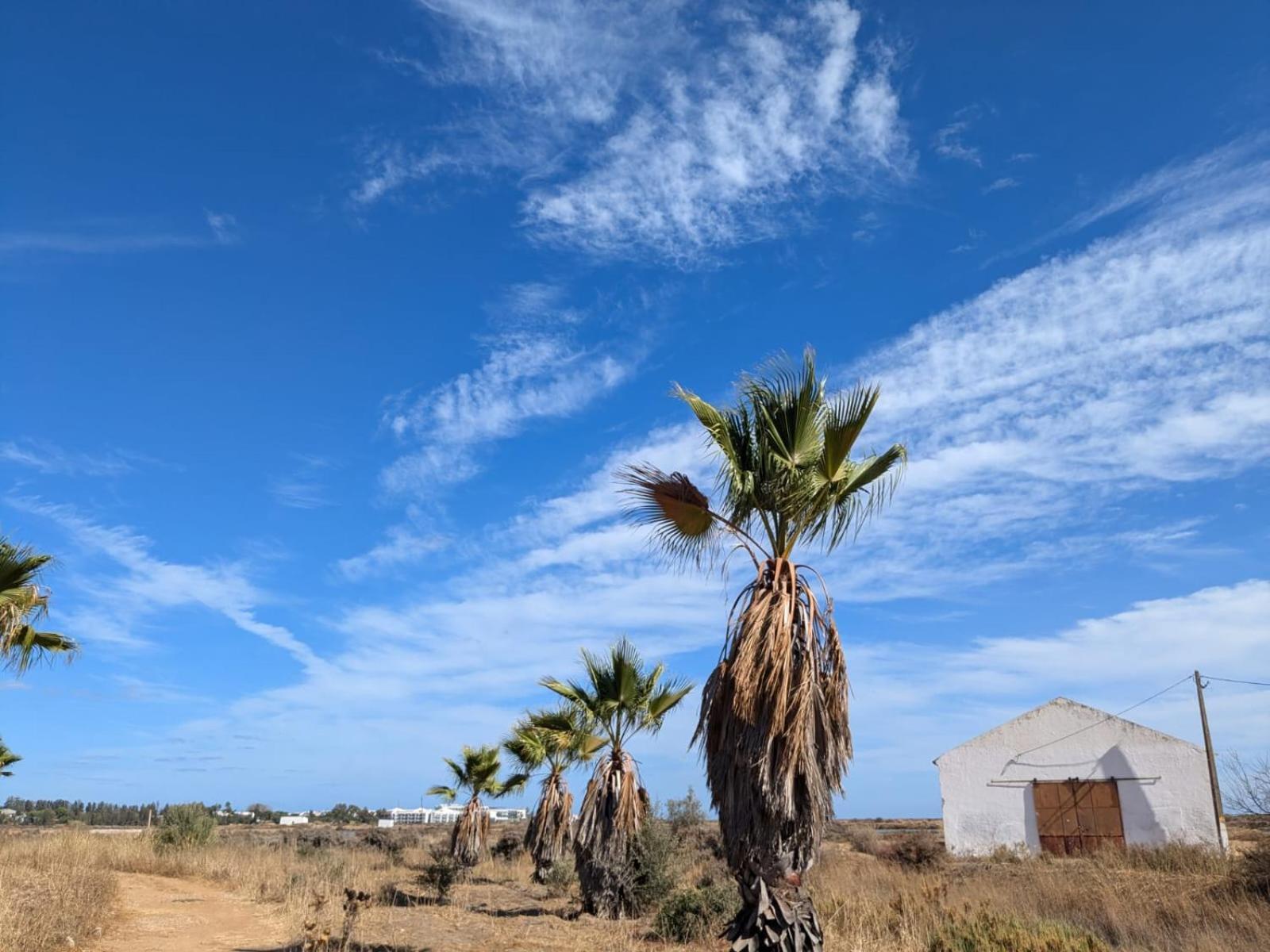 Paradise In קבאנס דה טאבירה מראה חיצוני תמונה