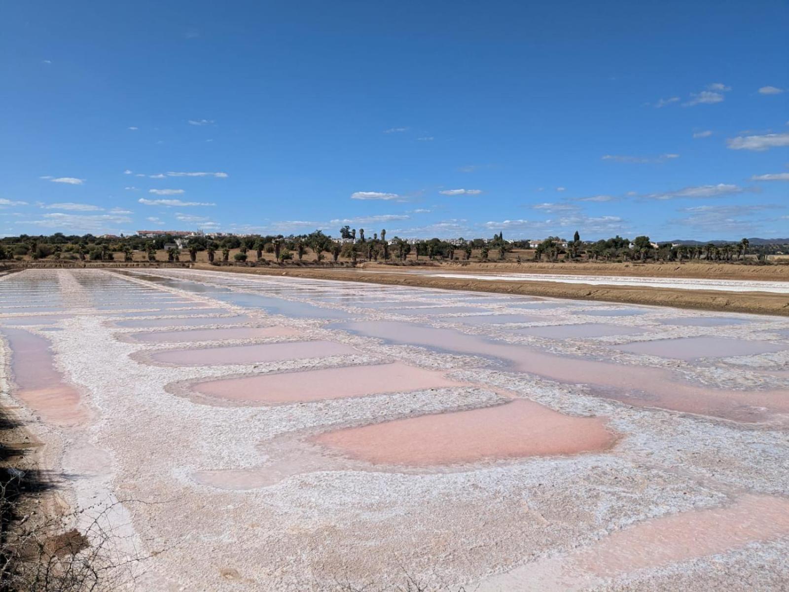 Paradise In קבאנס דה טאבירה מראה חיצוני תמונה